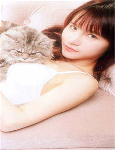 圣诞新娘
