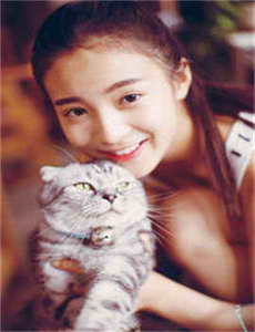 小猪佩奇动画片全集 连续播放